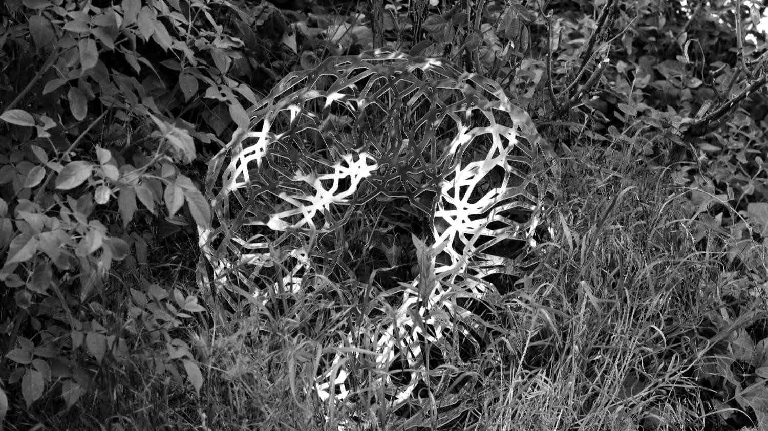 compress 20250814 032745 5196