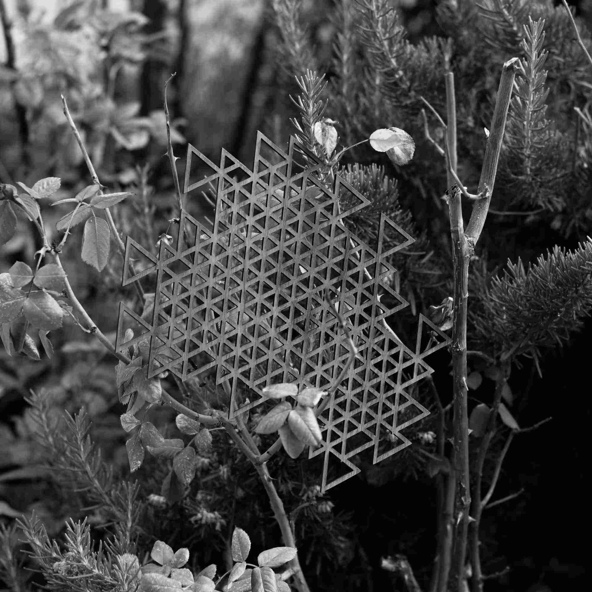 compress 20250814 032745 5523