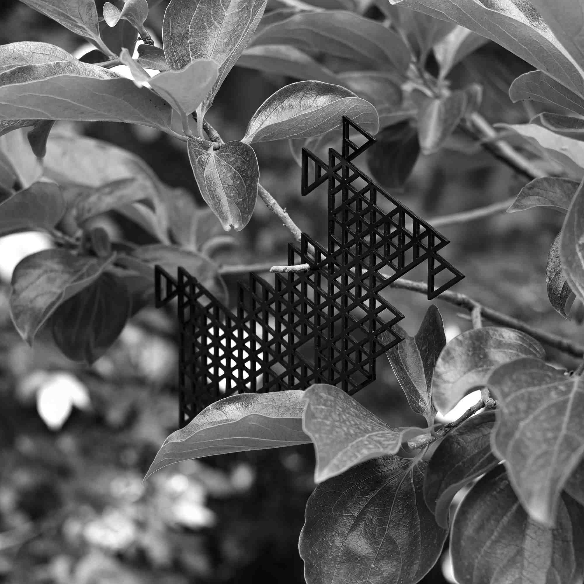 compress 20250814 032746 6493