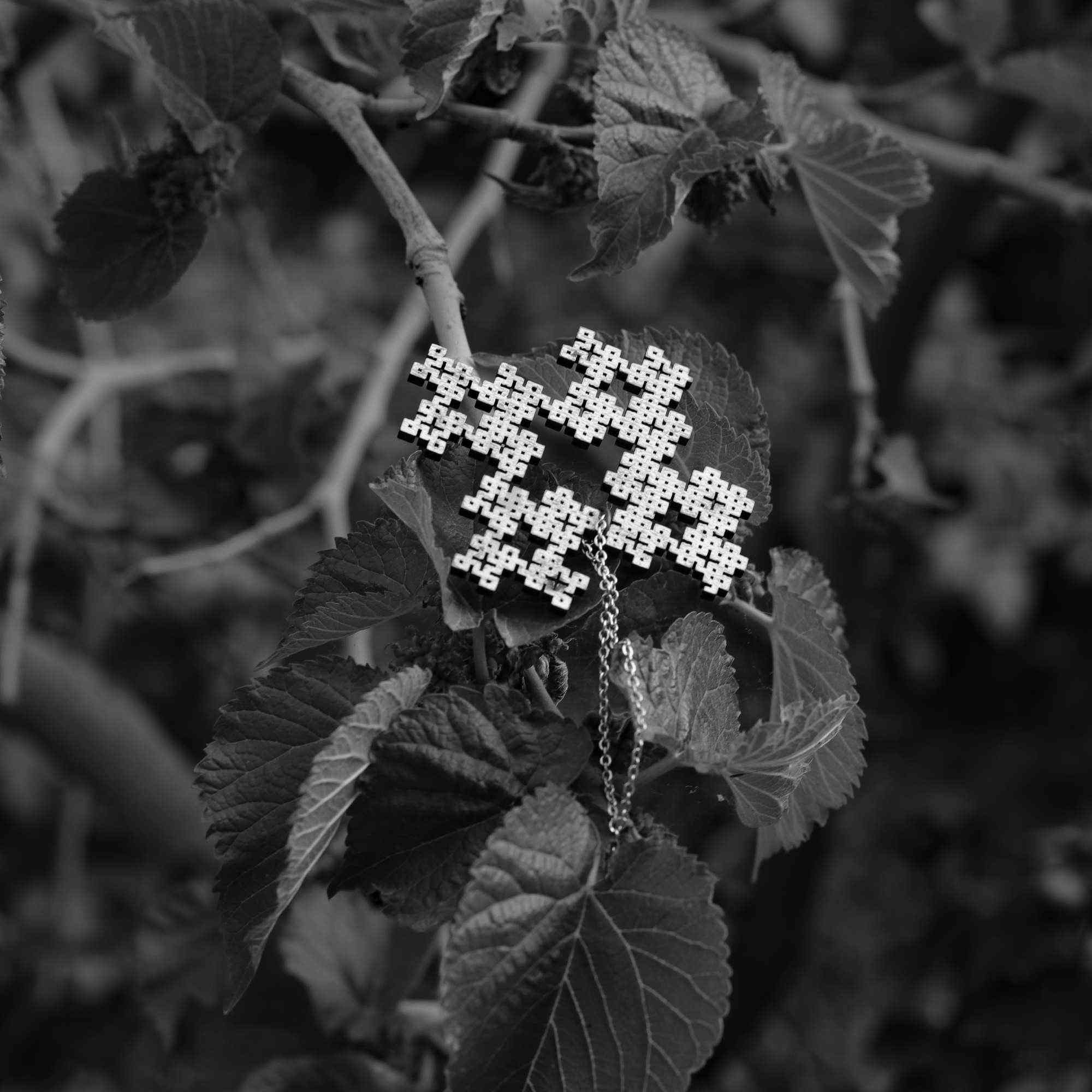 compress 20250814 032747 7013