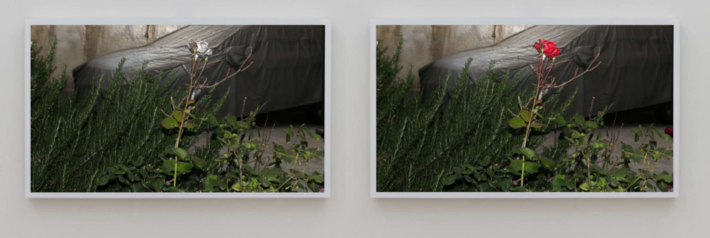 compress 20250814 041039 9196