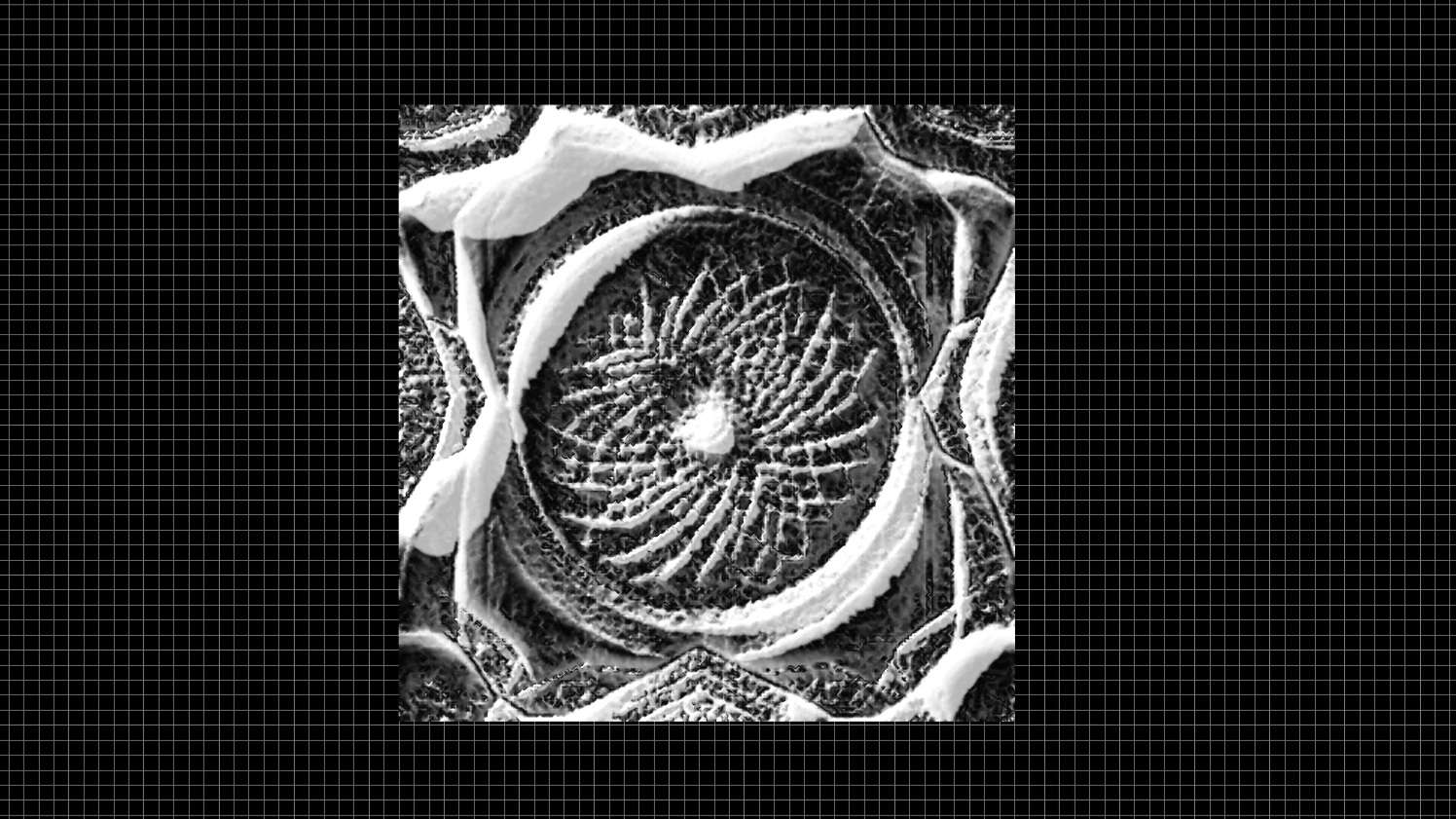 compress 20250814 041042 2700