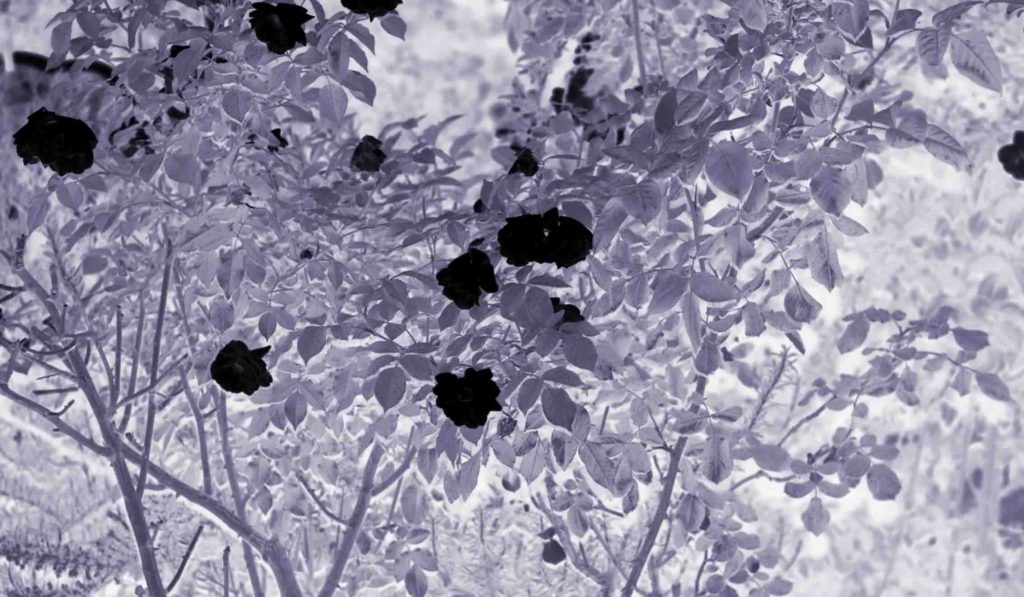 compress 20250814 042704 4563