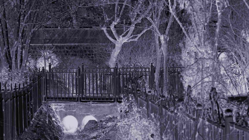 compress 20250814 042706 6600