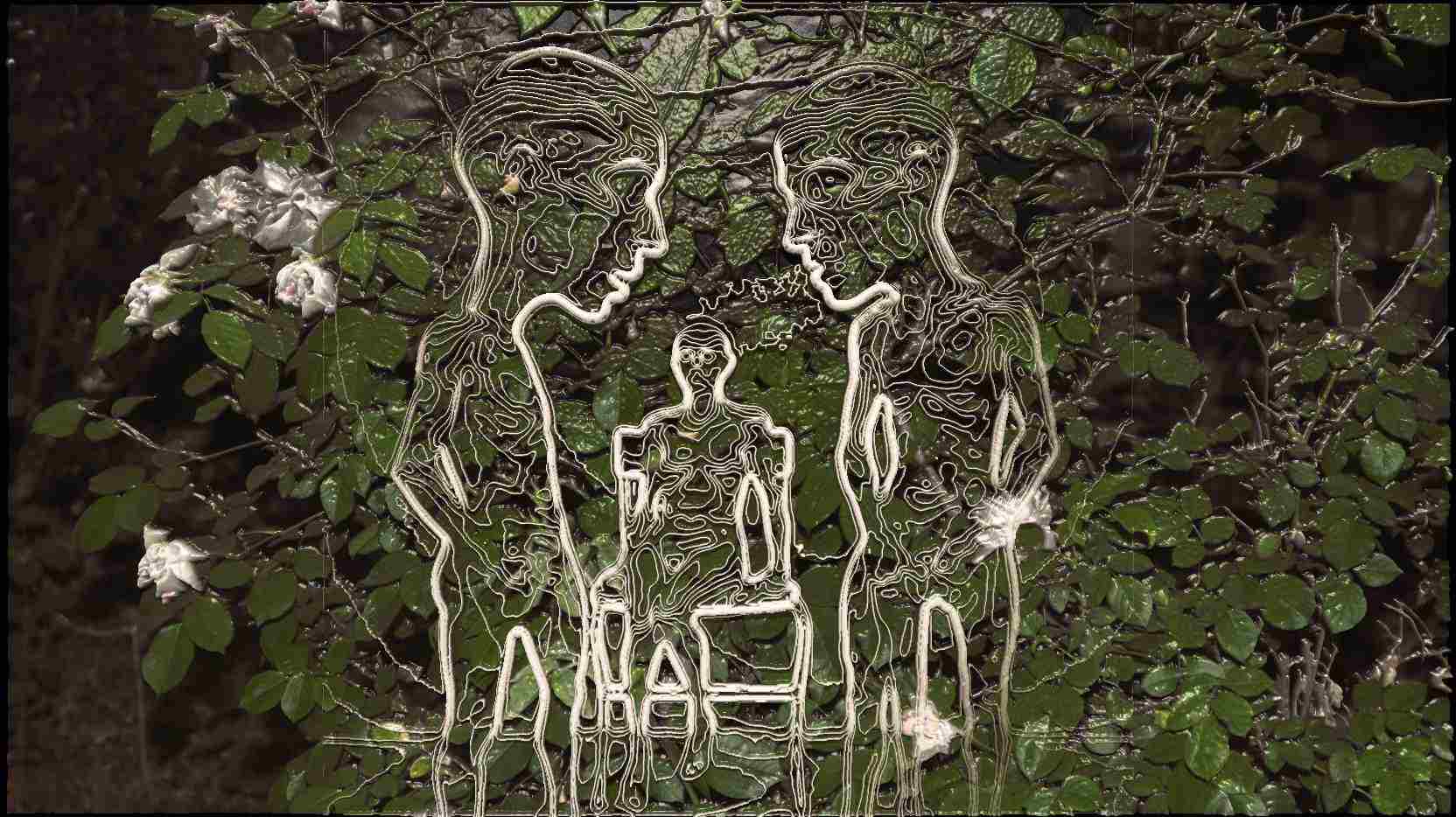 compress 20250814 043357 7410