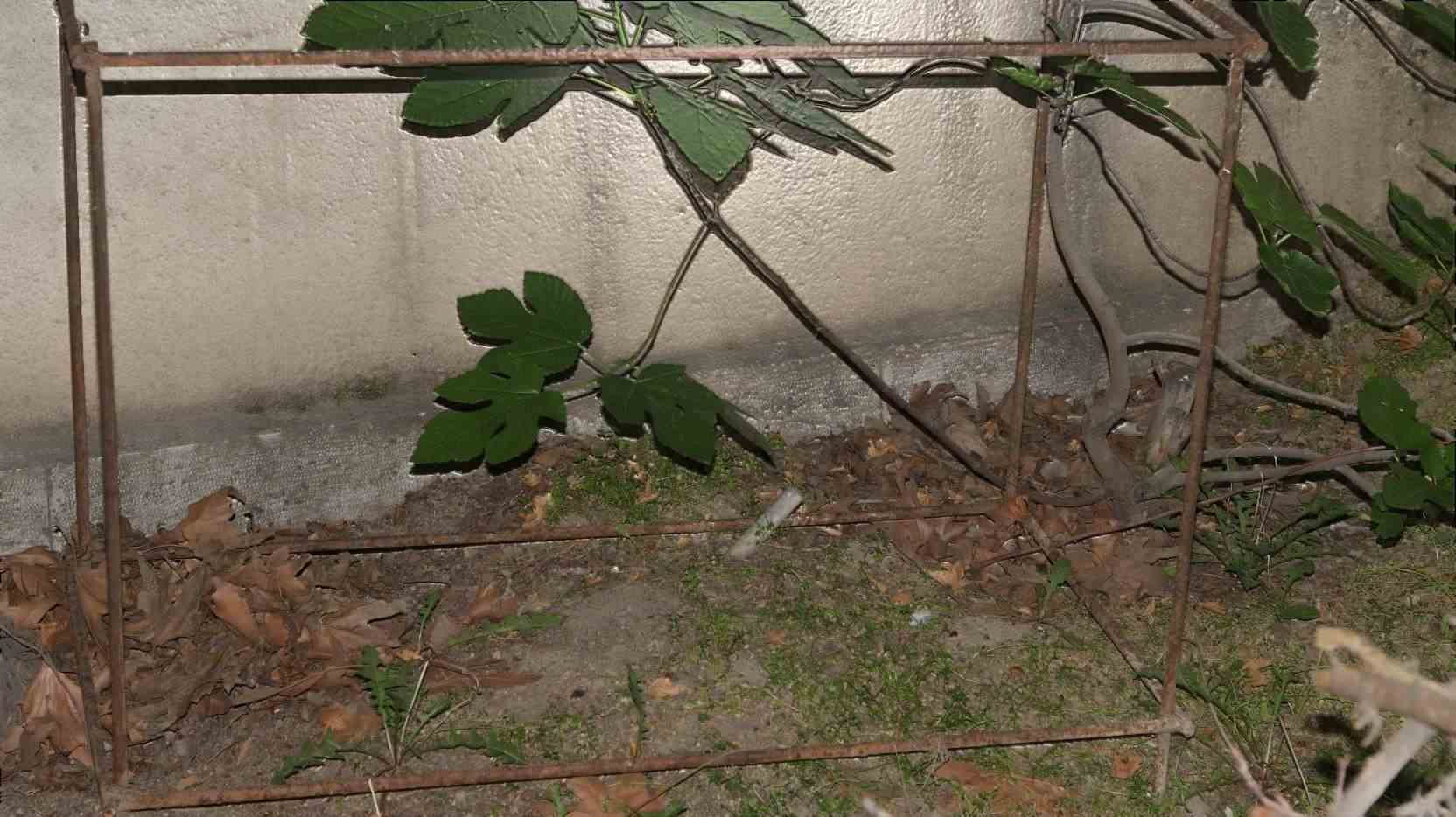 compress 20250814 043357 7815