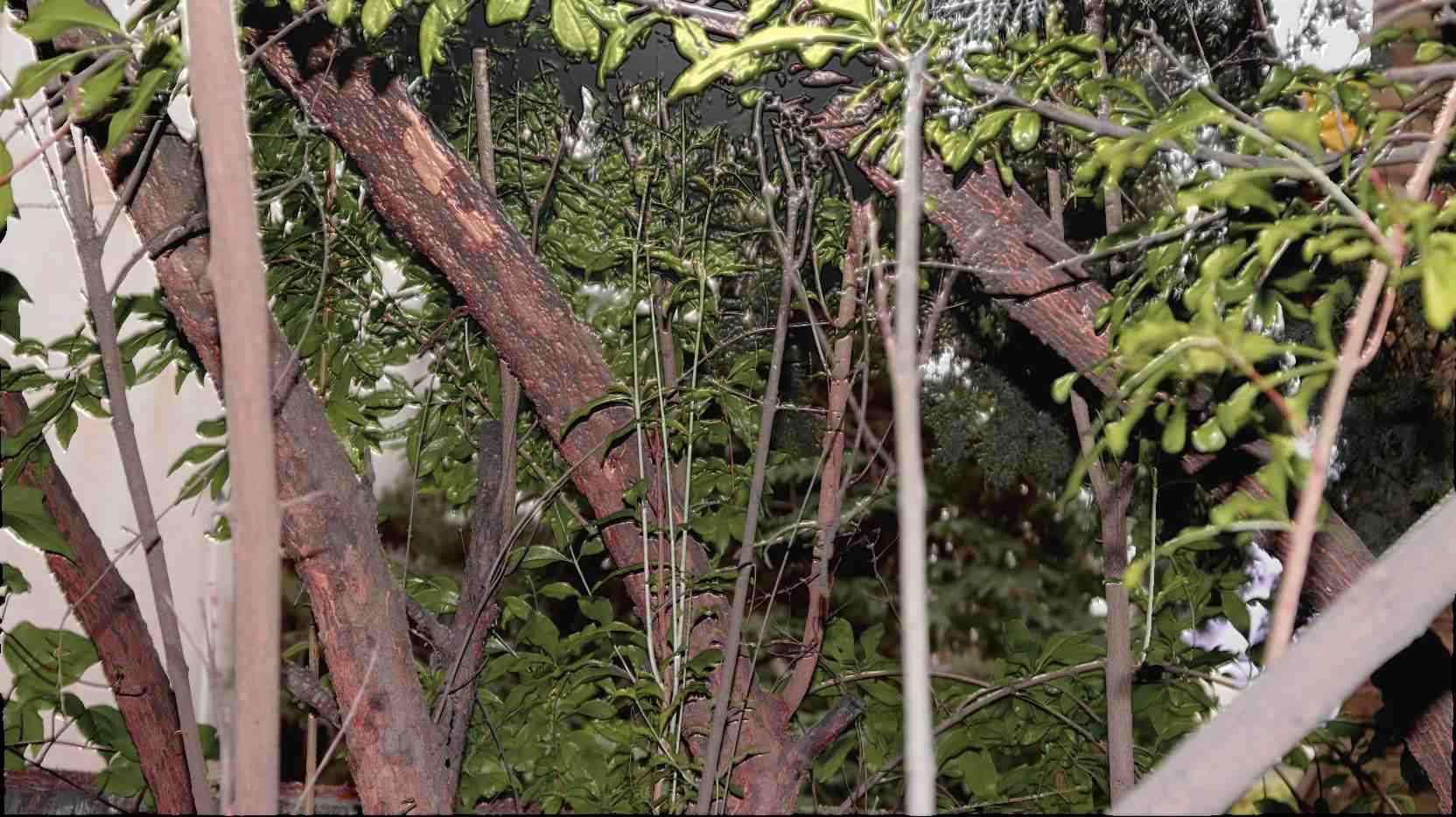 compress 20250814 043358 8372