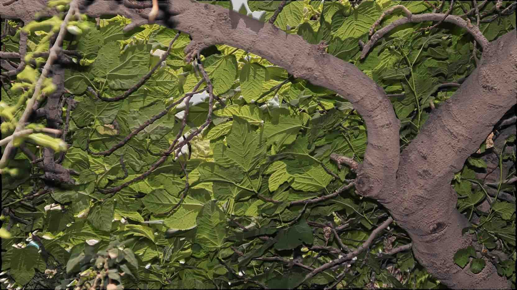 compress 20250814 043358 8700