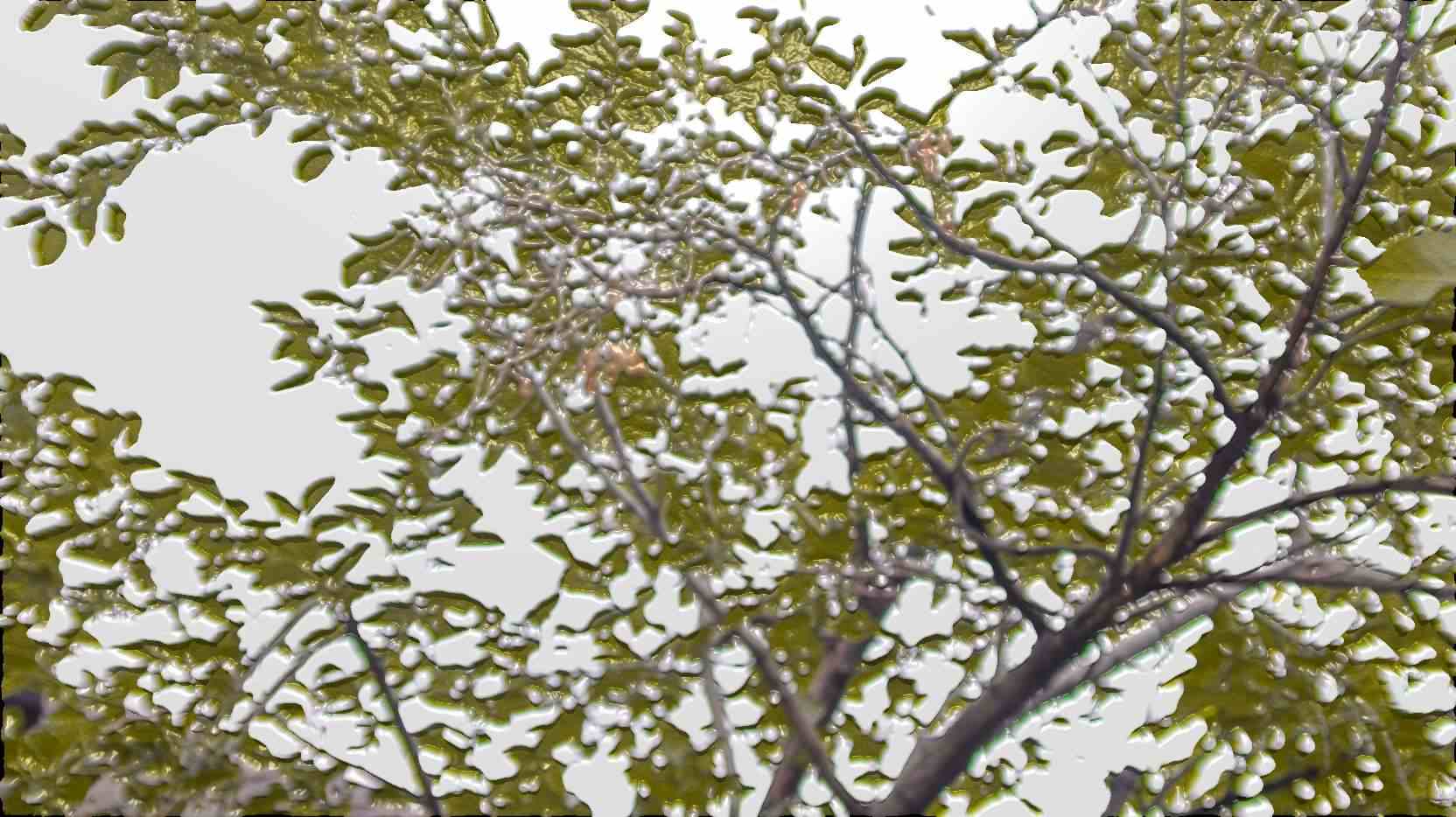 compress 20250814 043358 8996