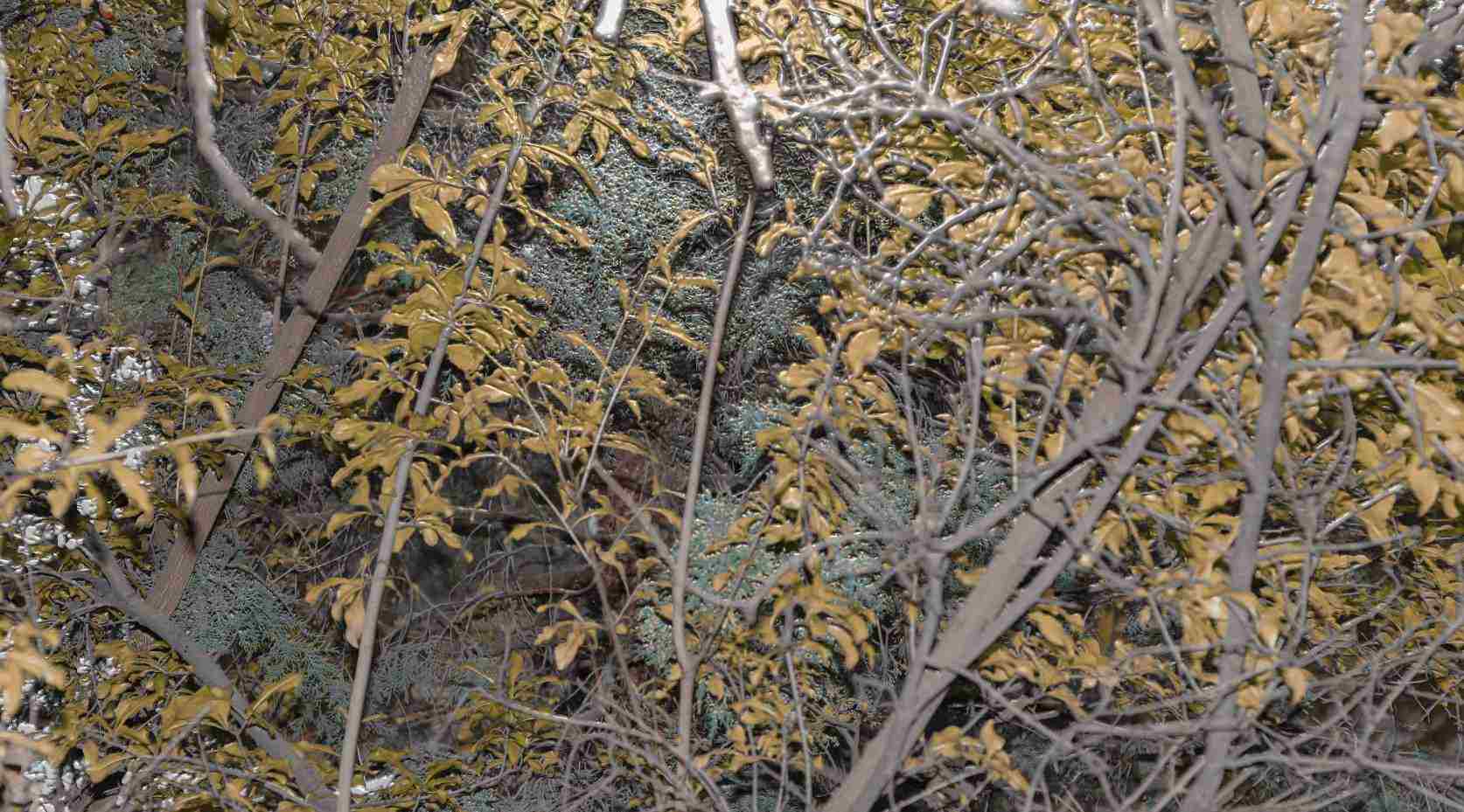 compress 20250814 043400 0025