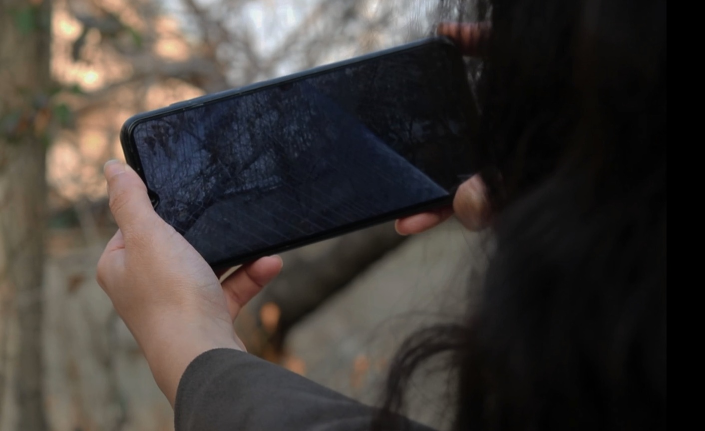 compress 20250814 230926 6623