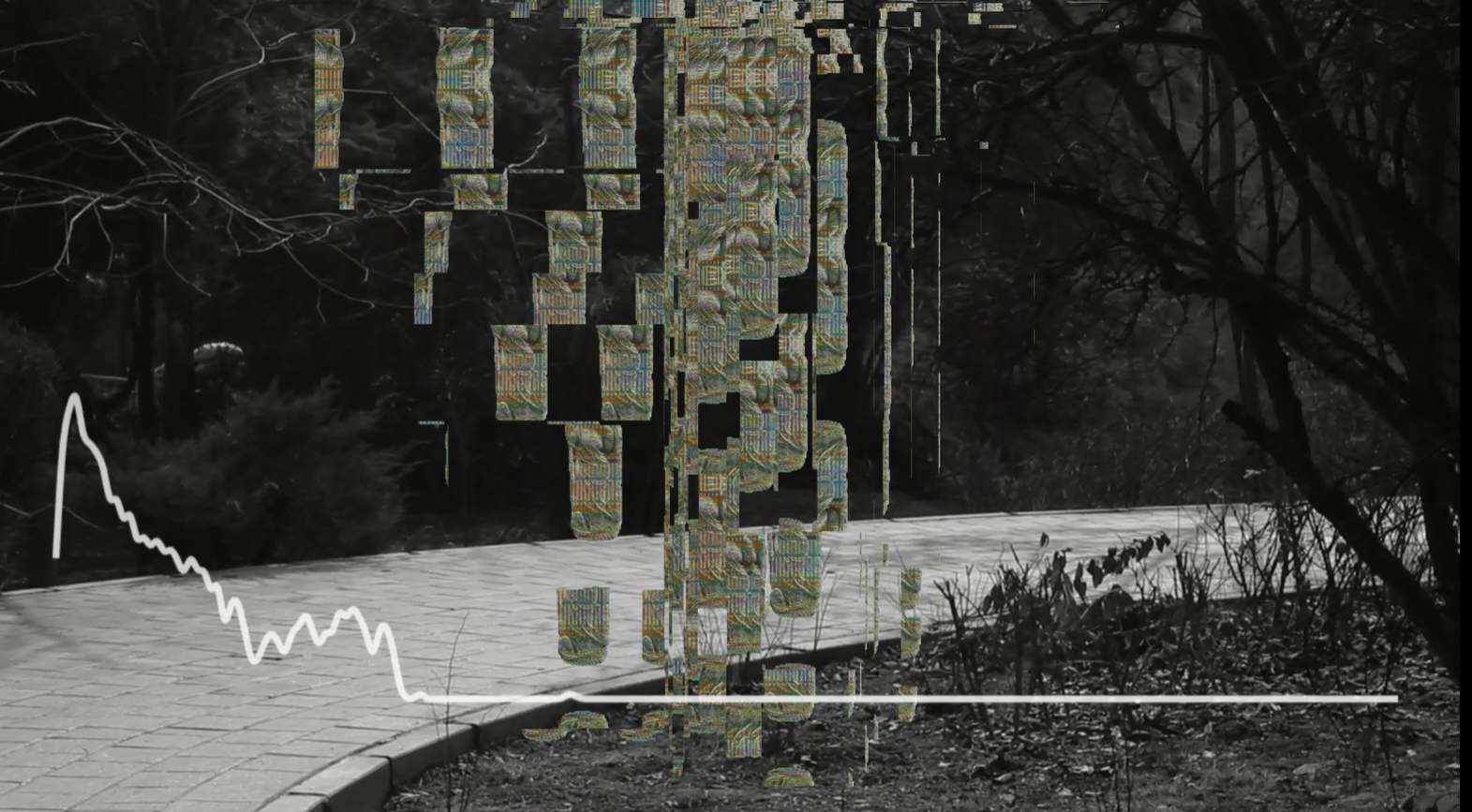 compress 20250814 230929 9377