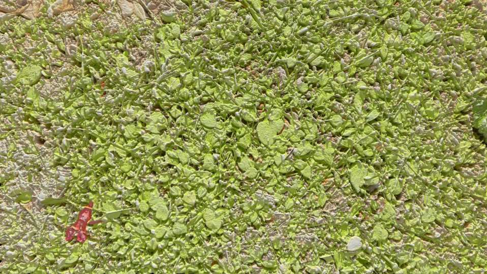 compress 20250822 204840 0993(1)