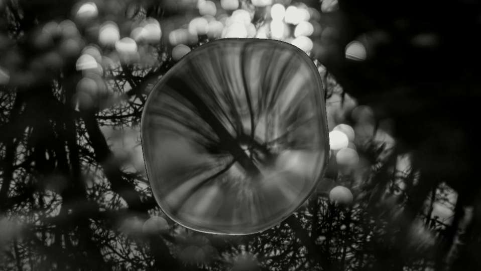 compress 20250822 204843 3698