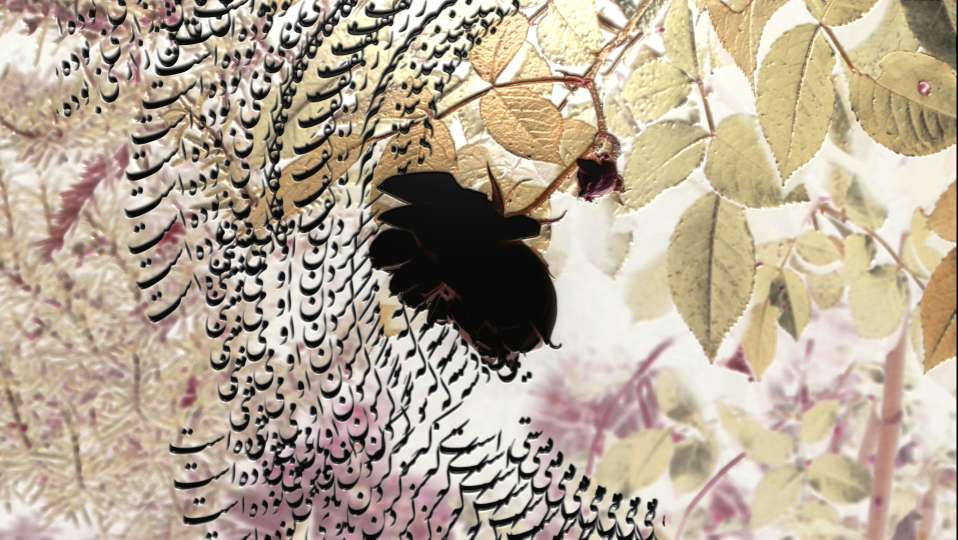 compress 20250823 233913 3770