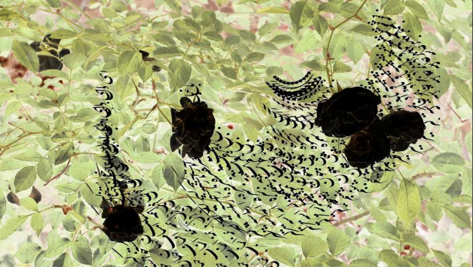 compress 20250823 233914 4090