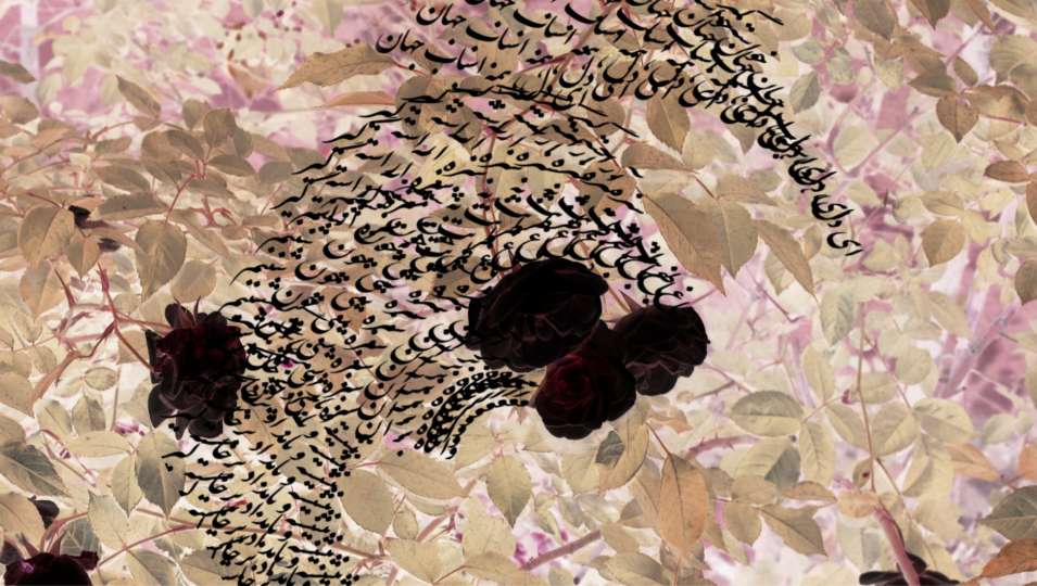 compress 20250823 233914 4252